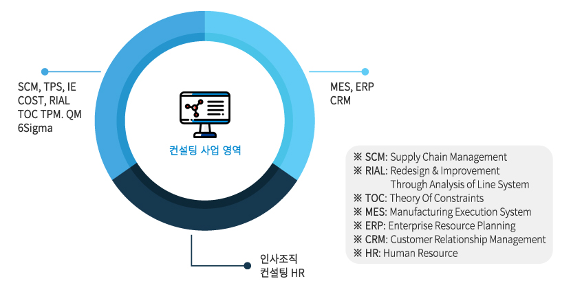 컨설팅 사업영역